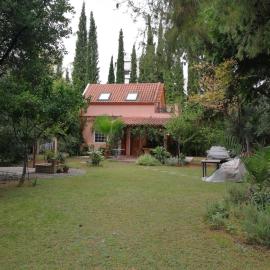 Villa with big garden: Atina'da bir otel