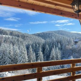 The Tara Concept, hotel a Šljivovica