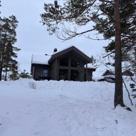 Moderne fjellhytte Gautefall, Norge, hotell i Drangedal