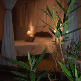 Refugio Alana Máncora, hotel a Máncora