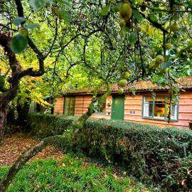 Bluebell Cottage Lurley Manor, hotel a Tiverton