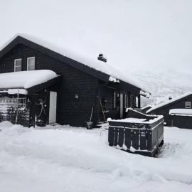 Ski-In, Ski-Out apartment at Filefjell