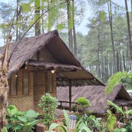ALAMSUKA Cikole, hotel in Tangkubanperahu