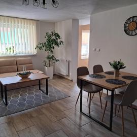 Ubytovanie u Karasa – hotel w Witanowej