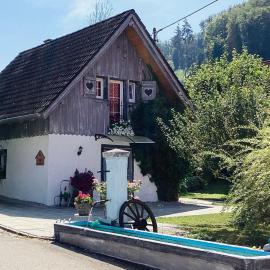 Wallys Hüsli im Schwarzwald, hotel in Ühlingen-Birkendorf
