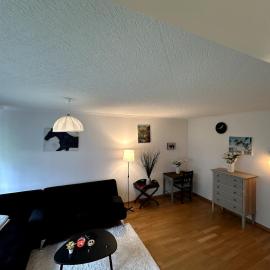 Furnished Apartment in Baden
