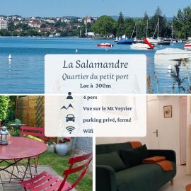 Logement à deux pas du Lac, proche du centre ville
