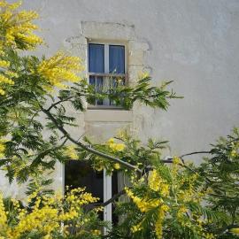 Chai Vous, hotell i Rivedoux-Plage