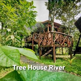 Tree House River