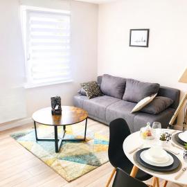 COSY LIVING, hotelli kohteessa Huningue