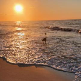 Sugar Beach 330 Family Friendly Vacation Sleeps 8, hotel in Gulf Shores