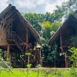 Sigiri Aliya Tree house