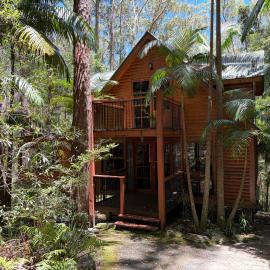 Springbrook Mountain Chalets, hotel en Springbrook