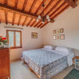 Appartamento con piscina e giardino - Olivo, hotelli kohteessa Ghizzano