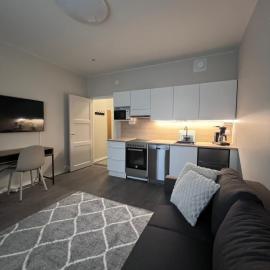 Newly renovated studio apartment in centrum of Lahti