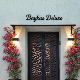 Baykus Deluxe