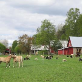 Rantakorpi Farm:  bir otel