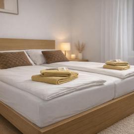 Central 3-Room Apartment in Luzern for up to 6 Guests