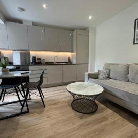 Modern Studio in Central Solihull near NEC, hotelli kohteessa Solihull