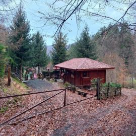 KALMul naturii, iureșul pădurii, hotel u gradu 'Firiza'