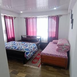 Mount View Homestay