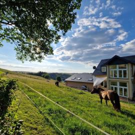 Ferienhaus Schilz II - Urlaub auf dem Bauernhof, hotel v destinácii Plütscheid