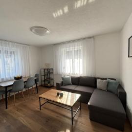 Gemütliche Wohnung in Puch