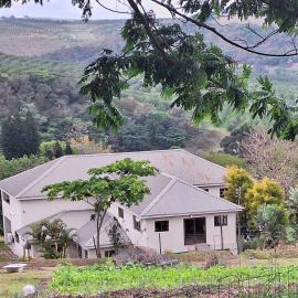Ibokwe homested, hotel in Hillandale