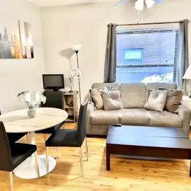 Entire Apt in Heart of Chicago