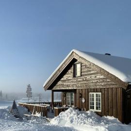 Family Cabin With Ski Inout At Furutangen, Hotel in Vika