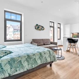 Studio 3 - Central Studio near Place de Paris