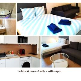 Vierzon Centre - joli T2- balnéo- wifi, Hotel in Vierzon