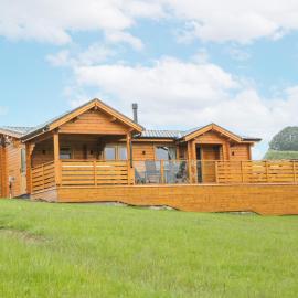 Manor Farm Lodges - Dragon Lodge, Hotel in Newtown