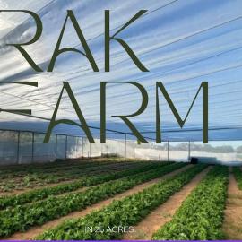 Rakfarm in 25 acres 3 bhk kids play pool: Al Ḩamrānīyah şehrinde bir otel