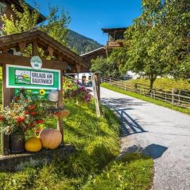 Vordersattlegghof, hotel di Hüttau