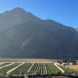 Viesnīca Elqui Valley Avocado Farm pilsētā Vikunja