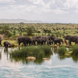 Four Seasons Safari Lodge Serengeti, hotel di Banagi