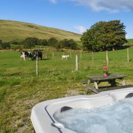 Shepherds Hut - Uk50043