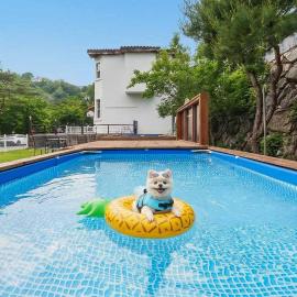 Gapyeong Daengdaengi Dog Pension Silver