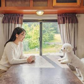 Goseong Jjun Camping Pension, Hotel in Goseong
