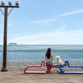 Geoje Blueberry Pet Pension, viešbutis mieste Godžė