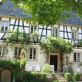 Mosel-Side De Luxe Suite, hotel in Reil