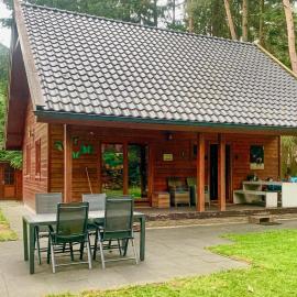 Boshuisje Veluwe Goudplevier