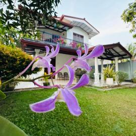 Fourcoock Villa, hotel a Kosgoda