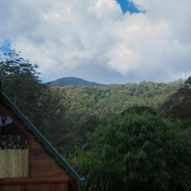 Cloud Nest Cabana, Hotel in Ohiya