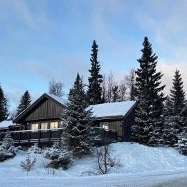 Cosy ski-in ski-out mountain cabin with sauna, hotel din Trysil
