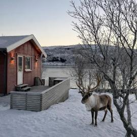 Aurora View Cabin, hotel v destinácii Tromsø