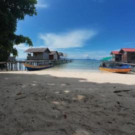 Arborek Homestay & Dive Center, hotel in Airborei