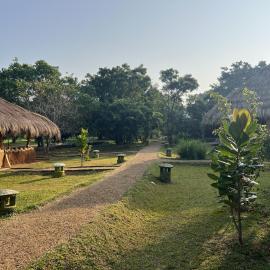 Saffron Lake Yala