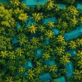 Palm Grove Eco Resort
